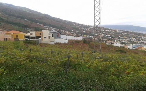 Panorámica de la finca