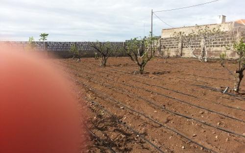 Panorámica de la finca