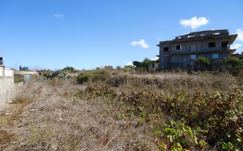 Panorámica de la finca