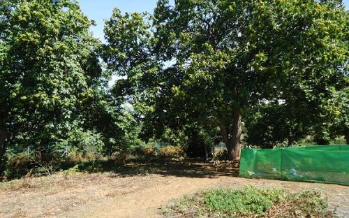 Panorámica de la finca