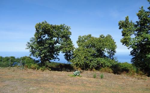 Panorámica de la finca