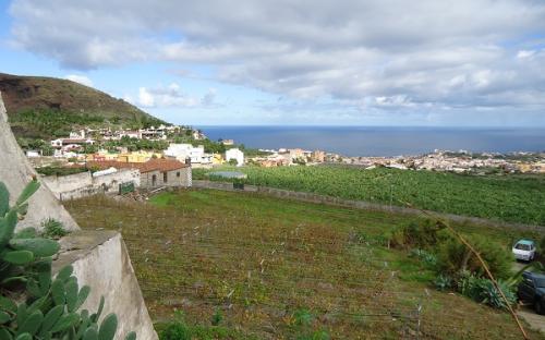 Panorámica de la finca