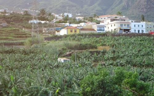 Panorámica de la finca