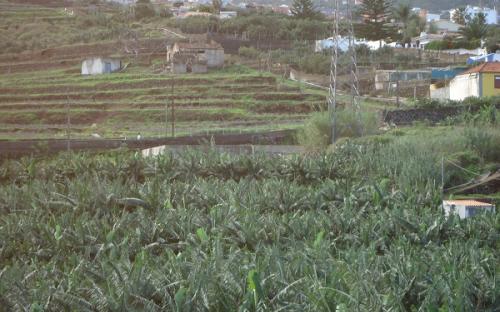 Panorámica de la finca