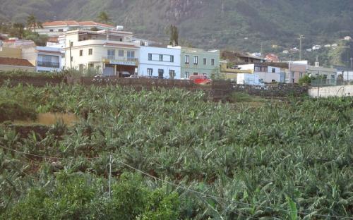 Panorámica de la finca