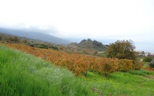 Panorámica de la finca