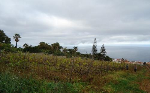 Panorámica de la finca