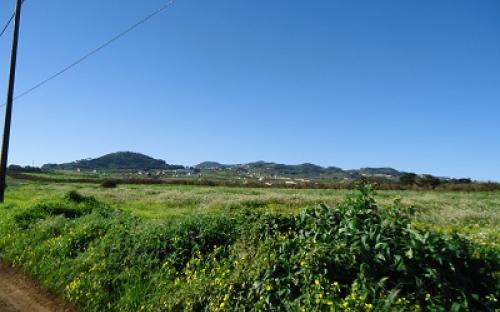 Panorámica de la finca