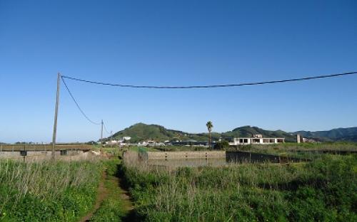 Estanques de la finca