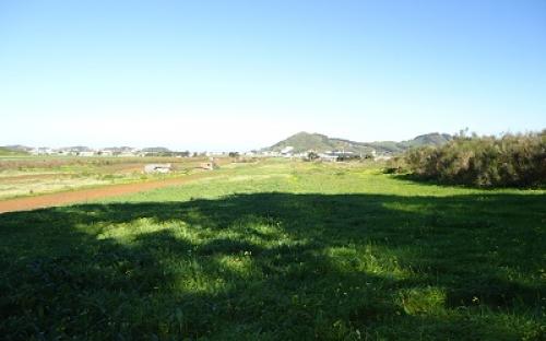 Panorámica de la finca