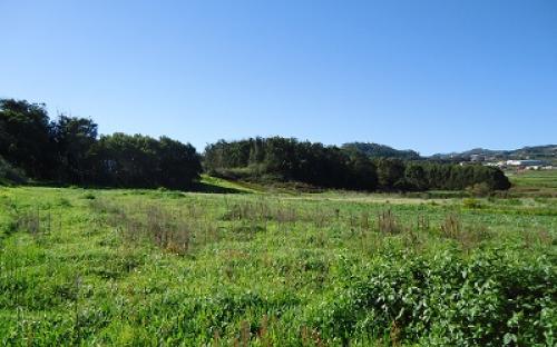 Panorámica de la finca