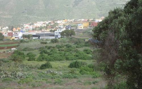 Panorámica de la finca