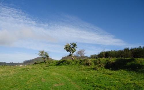 Panorámica de la finca