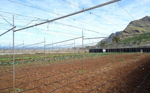 Panorámica de la finca