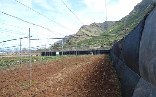 Panorámica de la finca