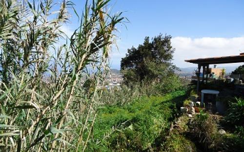 Panorámica de la finca