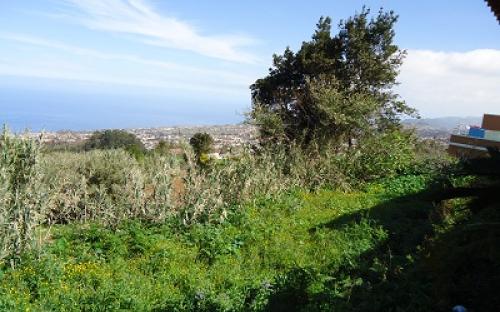 Panorámica de la finca