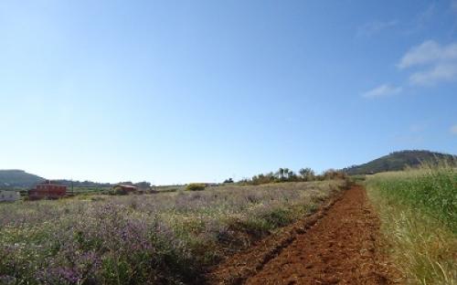 Panorámica de la finca