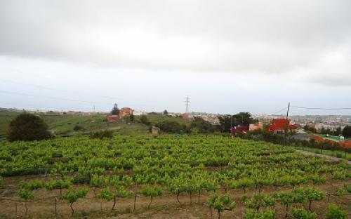 Panorámica de la finca