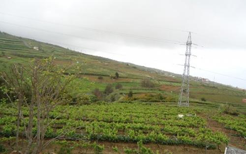 Panorámica de la finca