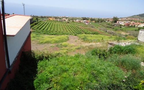 Panorámica de la finca