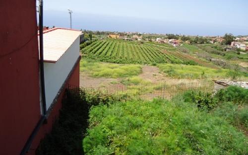 Panorámica de la finca