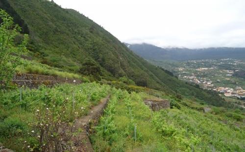 Panorámica de la finca