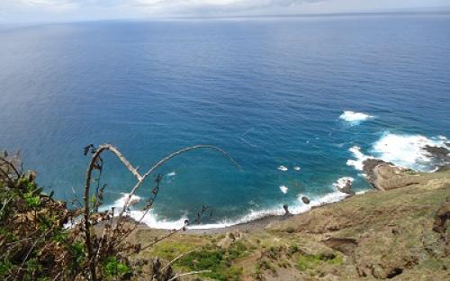 Panorámica de la finca