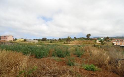 Panorámica de la finca