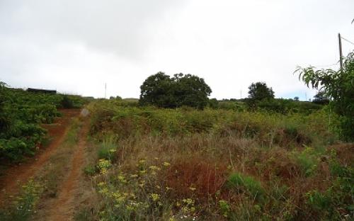 Panorámica de la finca