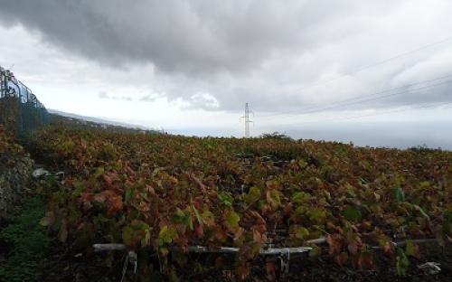 Panorámica de la finca