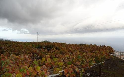 Panorámica de la finca