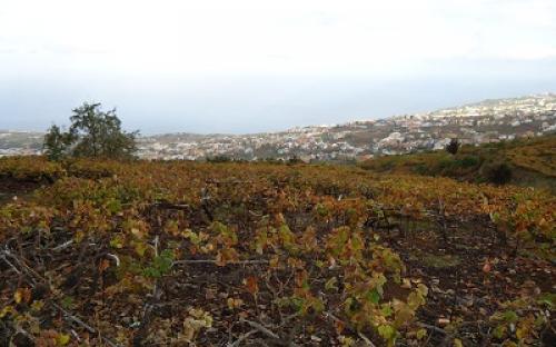 Panorámica de la finca