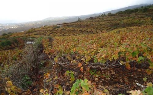 Panorámica de la finca