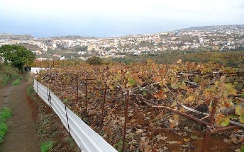 Panorámica de la finca