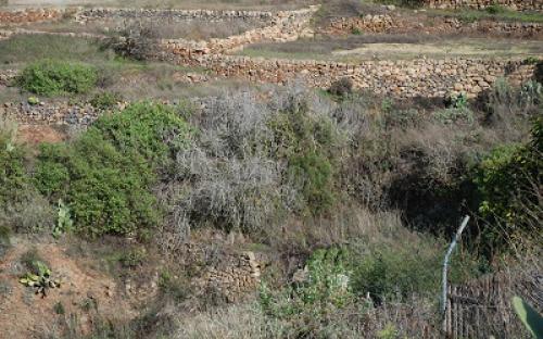 Panorámica de la finca