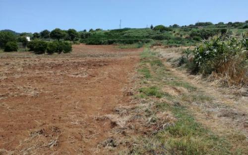 Parcela para cultivar papas