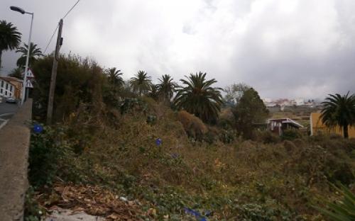 Panorámica de la finca