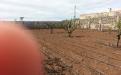 Panorámica de la finca