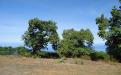 Panorámica de la finca