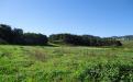 Panorámica de la finca