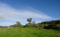 Panorámica de la finca