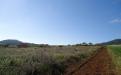 Panorámica de la finca