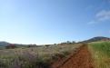 Panorámica de la finca