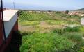 Panorámica de la finca