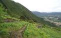 Panorámica de la finca