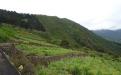 Panorámica de la finca