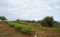 Panorámica de la finca