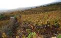 Panorámica de la finca