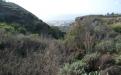 Panorámica de la finca